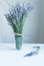 Load image into Gallery viewer, LAVENDER - wax melts
