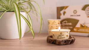 GIFT PACKAGE - ELLI (wax warmer) + 1 BOX candles EVVA (choose main fragrance)