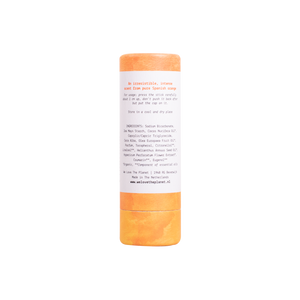 DEODORANT v stiku - Original Orange, We love the Planet