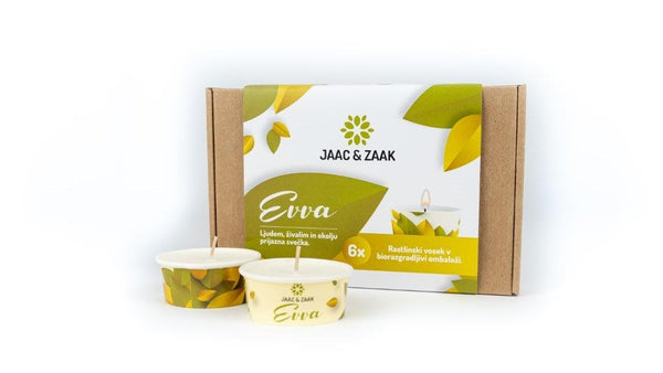 GIFT PACKAGE - ELLI(wax warmer) + 6 PACK CANDLE EVVA + WAX MELTS (you –  JAAC & ZAAK