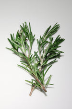 Load image into Gallery viewer, Herb Garden Candles - Rosemary
